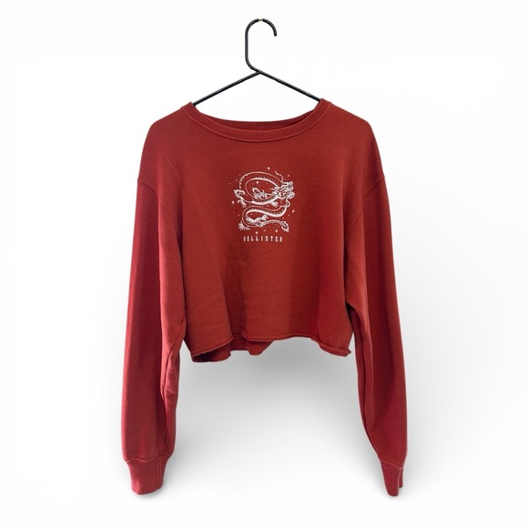 Hollister Tops - Hollister Women's Rust Y2K Revival Dragon Graphic Cropped Sweatshirt Small